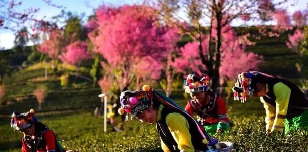 迷失在樱花谷的绝美装扮攻略（探索樱花谷，打造最美出装，让你成为焦点）