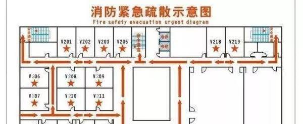 小动物逃生攻略（用心守护，让小动物远离危险）