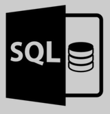 sql server 2008