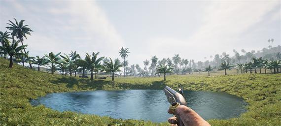 探秘海盗岛3D（一步步教你如何在海盗岛3D中生存与蓬勃发展）