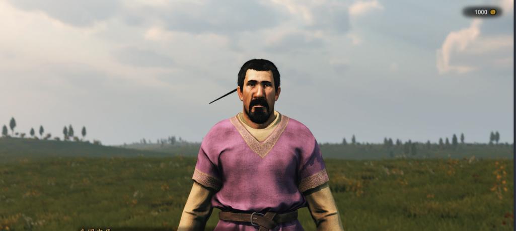 《骑马与砍杀2》165版本NPC通用加点攻略（全面掌握NPC加点技巧，打造强力部队）