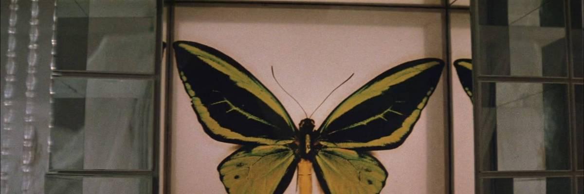 极限狙击之爆炸攻略（揭秘杀手的致命狙击术）