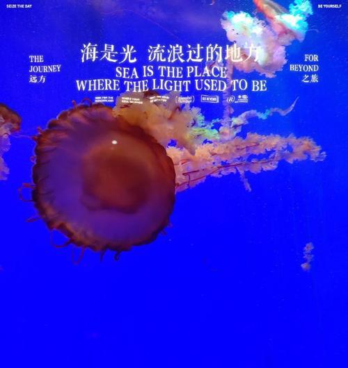 模拟水族馆游戏攻略（让你的虚拟水族馆成为游戏中的明星！）