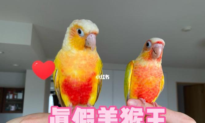 《小太阳出装攻略大全——男士篇》（掌握关键装备，成为无敌战神！）