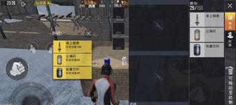 和平精英牛马姐妹文案怎么写,和平精英中的独特姐妹花传奇