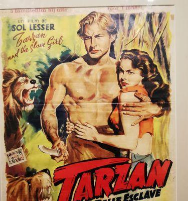 探索澳洲的三人团队游戏攻略（带你走进澳大利亚最刺激的游戏体验）