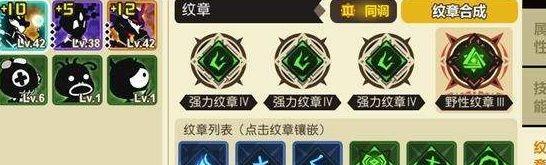 超进化物语纹章搭配详解（打造最强战队的秘诀）