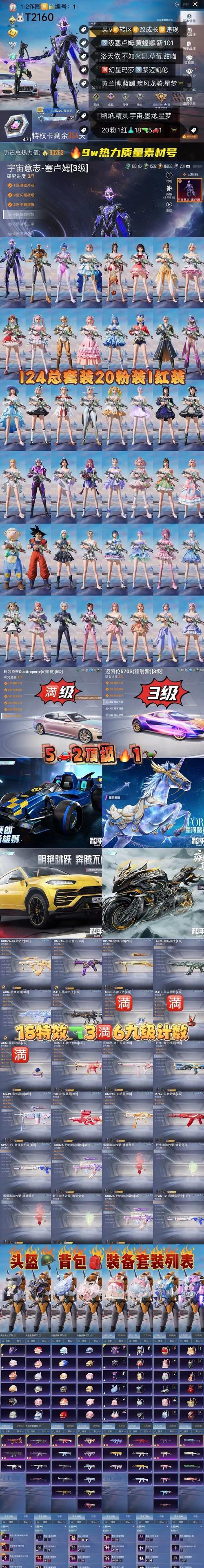 扁鹊高端局集锦出装攻略（高手扁鹊如何选择出装？掌握关键装备助你登顶排位赛！）