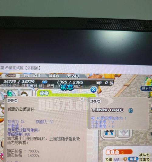 《探秘希望ol铁匠攻略》（带你了解希望ol铁匠的技巧和心得）