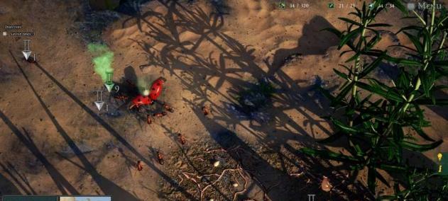 《以蚁国指南为指引，打造最强阵容》（从排位到竞技，让你游刃有余！）