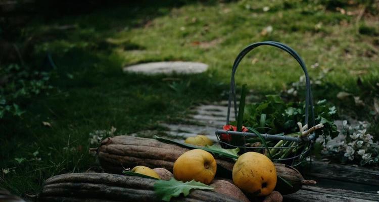 小清晨守约出装顺序攻略（尽揽战局先机，关键出装一网打尽）