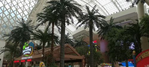 梦幻开地门攻略（解锁开启梦幻之门的技巧与策略）