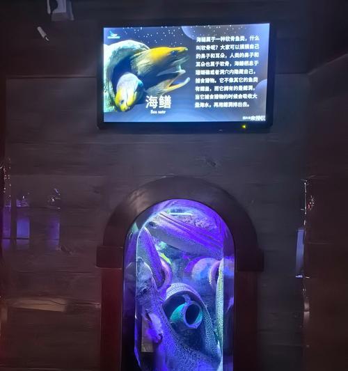 探索迷人的海底世界——《海底世界探险》游戏攻略（揭秘宝藏海底，成为海洋探险家）