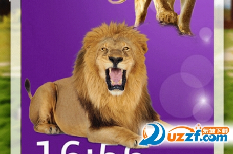 手机屏幕上有狮子的是什么软件 狮子在屏幕上跑的软件使用方法
