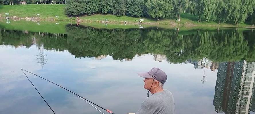 探寻老年人的钓鱼乐趣（传授钓鱼技巧，让老年人在游戏中享受快乐时光）