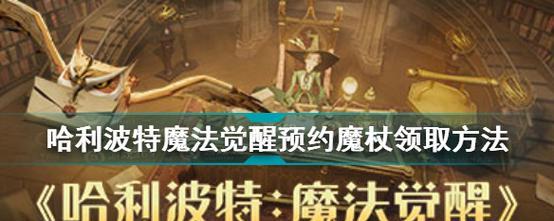 哈利波特手游图书券攻略（从零开始，畅游魔法世界的必备攻略，带你领略无限可能！）