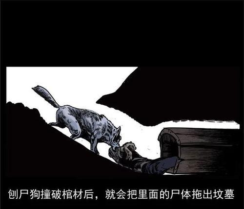 《探索盛大刺客攻略的奥秘》（从游戏机制到技巧心得，解析刺客攻略）