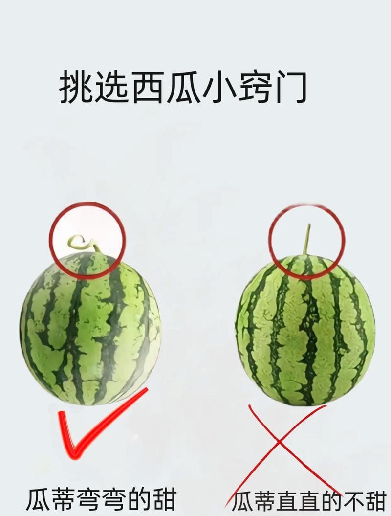 《西瓜合成小游戏攻略》（掌握关键诀窍轻松解密无敌技巧）