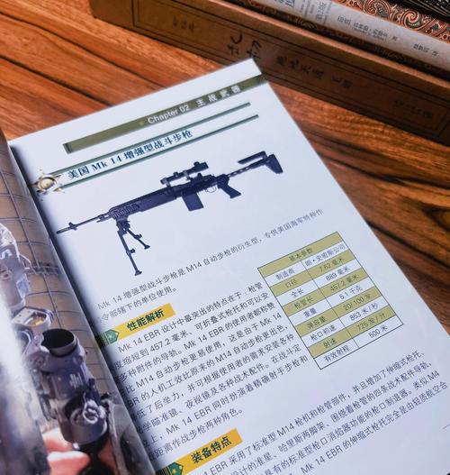 制霸战场（成为顶级特种兵，统一战场！）