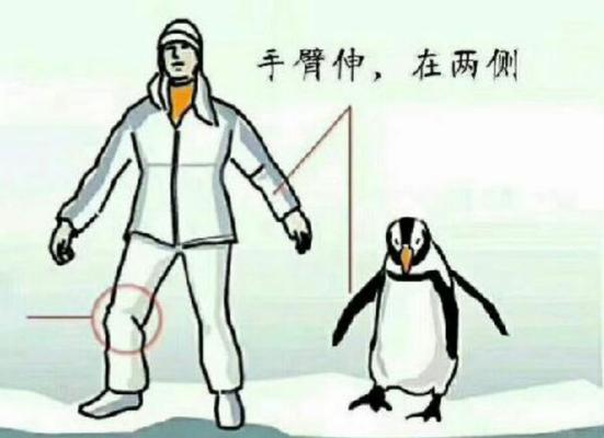 《打造最强队伍，征服企鹅互助游戏！》（攻略大全，助你成为游戏高手！）