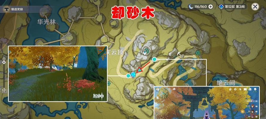 探索世界，寻找辉木的采集点！（探索世界，寻找辉木的采集点！）