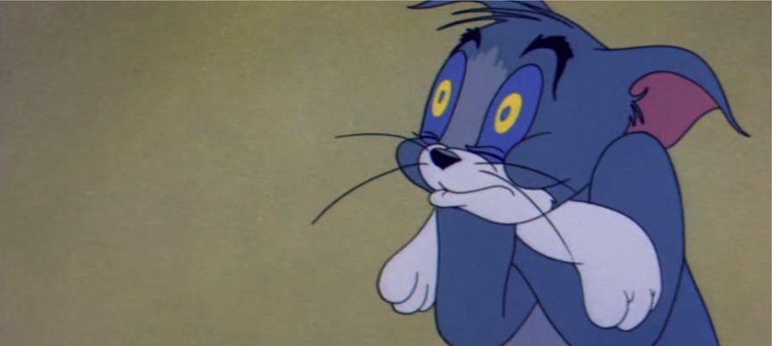 《风暴对决》新角色猫阿福技能属性全解析（了解猫阿福，打造更强大的阵容）