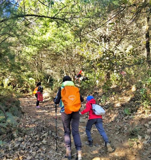 天龙手游登高攻略（攀登武林巅峰，尽揽天龙精髓）