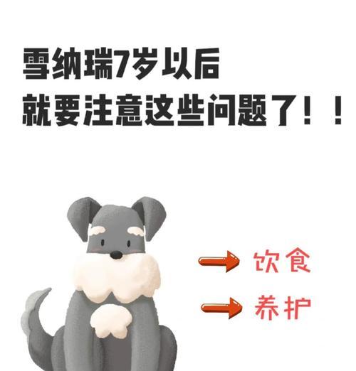 狗狗竞技场攻略（从菜鸟到高手，掌握狗狗竞技场的关键技巧与策略）