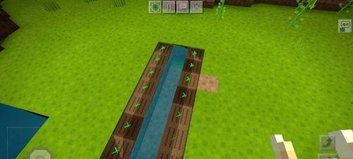 我的世界怎么种出南瓜,从播种到收获的完美指南