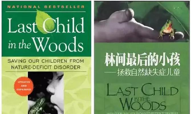 《以林间最后的小孩游戏攻略》（揭秘小游戏攻略，让你轻松通关）