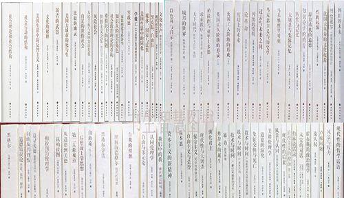 《记忆重构攻略大全》——攻略密码答案成就汇总（全面解析所有关卡，助你游刃有余）