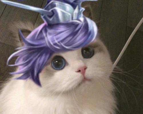 边城刘邦出装攻略最新版（全面解析边城刘邦的出装选择及技巧）