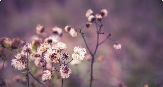 Insaid攻略（掌握Insaid的课程与资源，实现技能提升与职业发展）