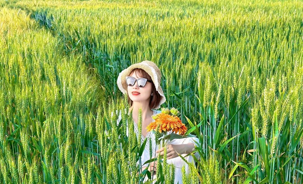 咖啡蛮王出装攻略大全（详细解析咖啡蛮王的最佳装备选择和技巧）