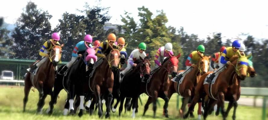 2023赌马攻略（马上赢钱不是梦！全面解析2023赌马攻略，帮你轻松击败对手）