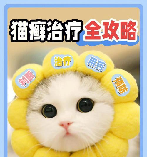 幸运猫舍游戏攻略（揭秘幸运猫舍游戏的成功关键，助你成为猫咪大师）