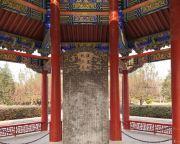 秋山刘邦出装攻略最新解析（打造无敌输出！一起来了解最佳出装搭配吧）