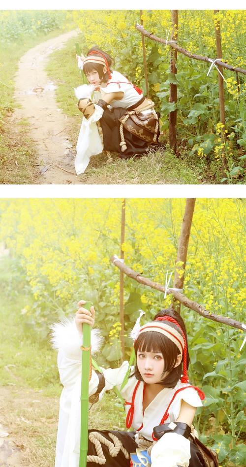 剑三大雕任务攻略（一探江湖世界，探寻三大雕之谜）