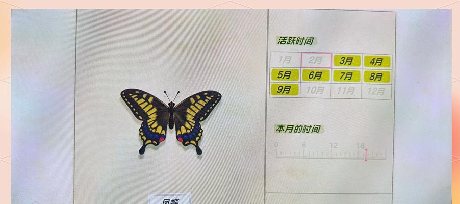 探索昆虫世界的乐趣——《以昆虫世界》手游攻略（以昆虫世界手游攻略）