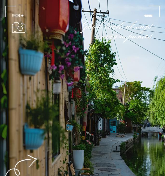 《玩转广东100张玩法，揭秘地域玩法秘密》（广东省游戏达人的必备攻略，教你如何挑战地域玩法！）