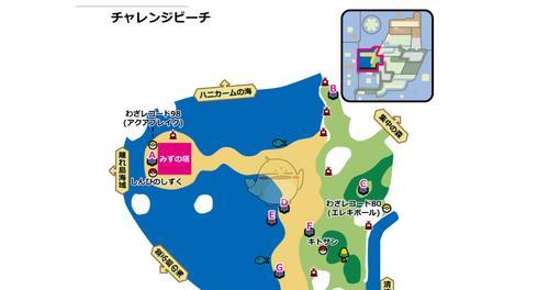 《口袋妖怪剑盾系列手游攻略大全》（终极指南、成为顶级训练师的秘籍）