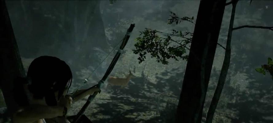 《古墓丽影9攻略船》——探索海底的惊险冒险（助你游戏攻略，挑战隐藏的秘密）