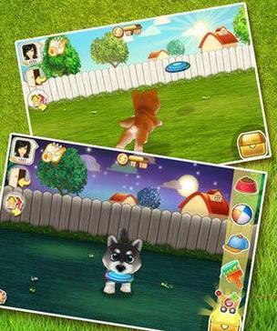 《晴天解谜游戏攻略大揭秘》（挑战智力极限，解开未知之谜！）