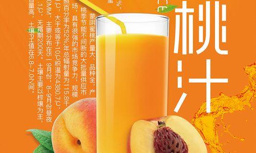 逃出果汁饮品店（挑战自己的智力极限，在限时内成功逃离！）