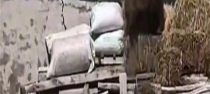 荒野乱斗单挑与群殴地图上分攻略（如何提升个人实力与团队配合，轻松冲上排行榜）