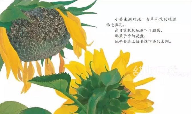 《大自然物语游戏试玩攻略》（探索自然的奥秘，尽情享受游戏乐趣！）