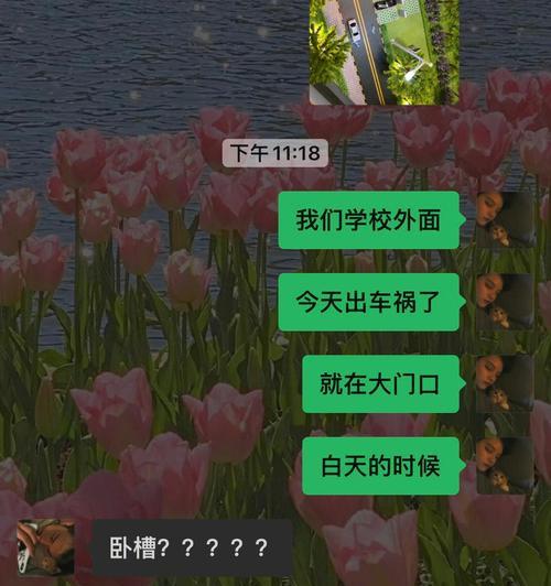 《恋爱日记2》游戏攻略大全（打造完美恋爱剧情的关键技巧与策略）