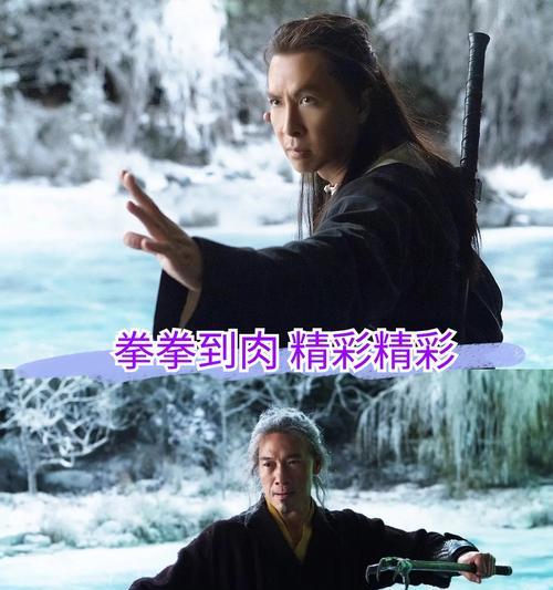 卧虎藏龙武当技能搭配攻略（探索最强技能组合，成为无敌武林高手）