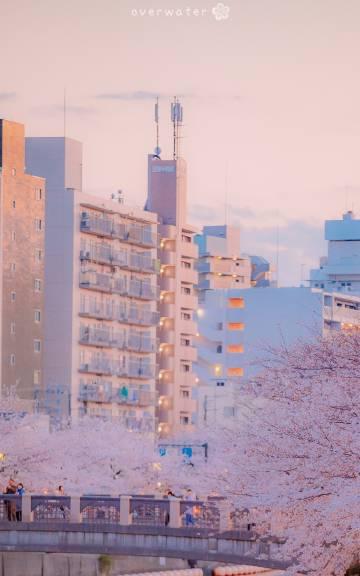 以王炸炸炸山记，尽享游戏乐趣（策略实战技巧，轻松愉悦挑战）