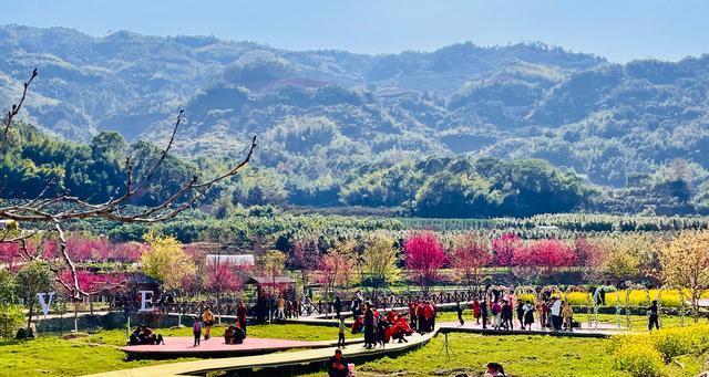 走进樱花谷，领略最美的出装攻略（樱花谷最美出装攻略大全，让你穿出仙气十足）